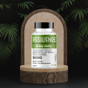 Resilience | The Daily Miracle
