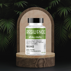 Resilience Supplement | The Daily Miracle