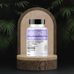 Hibernate | Sleep Deeper