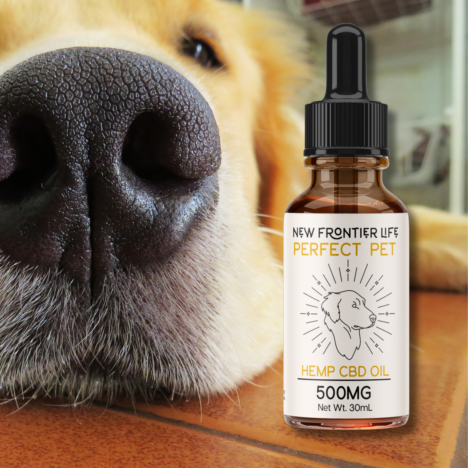 Perfect Pet | CBD Oil for Pets
