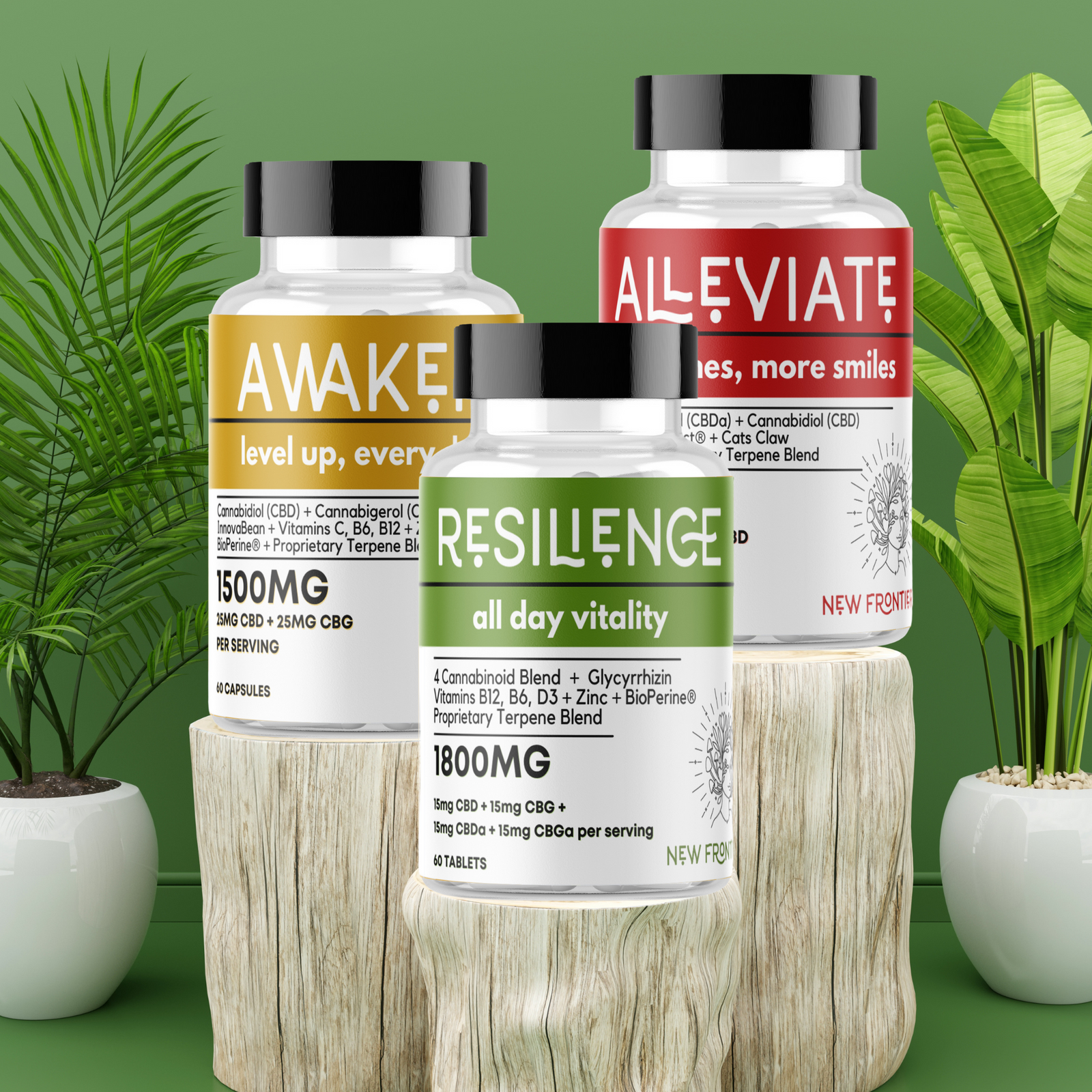 The Daily Wellness Kit